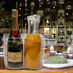 Ice Chilled Wine Bottle Server and Carafe Set