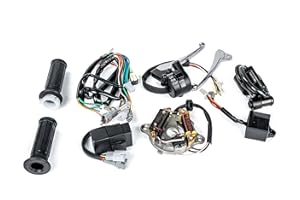 SUNQIAO PW50 Stator,Throttle CDI Control Unit Grips Wire Harness Brake Lever Kit for PY50 Peewee 50CC Y-Zinger Kid Bikes