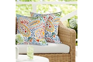 DYTXIII Pack of 2 Outdoor Waterproof Pillow Covers ONLY, Square Decorative Double Printed Pillow Cases for Patio Couch Porch Chairs (18 x 18 in,Paisley Multi)