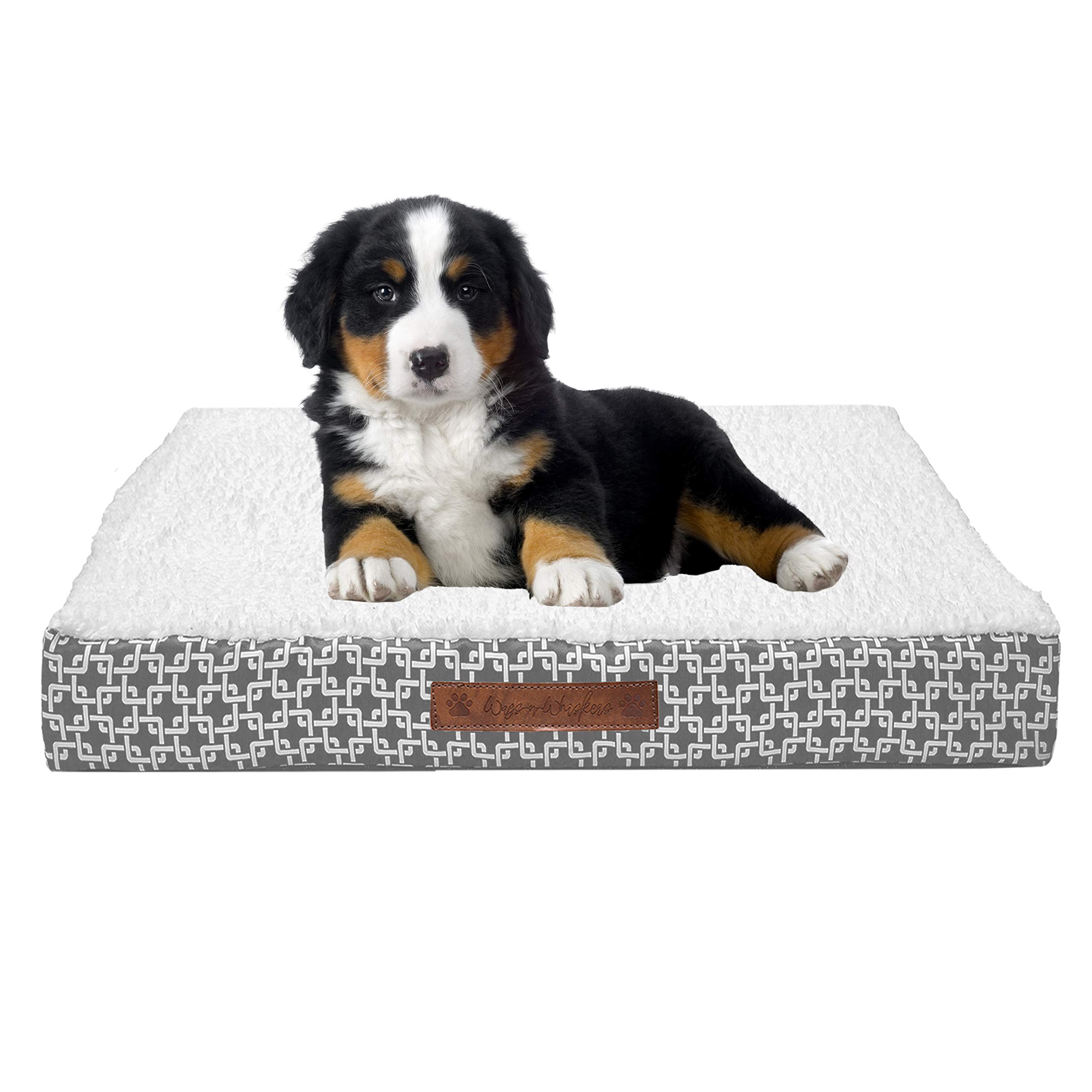 Wags N' Whiskers Gate Orthopedic Small Pet Bed