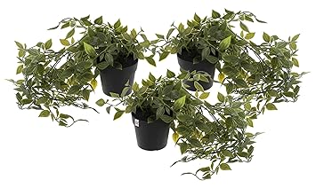 Fun Homes Mini Plastic Potted Vine Plant for Home Office Decoration, Plastic Vine with Black Plastic Pots, Fake Plant for Bathroom D