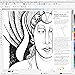 CorelDRAW Graphics Suite 2017 - Amazon Exclusive - Includes RAW Photo Editor [Download]
