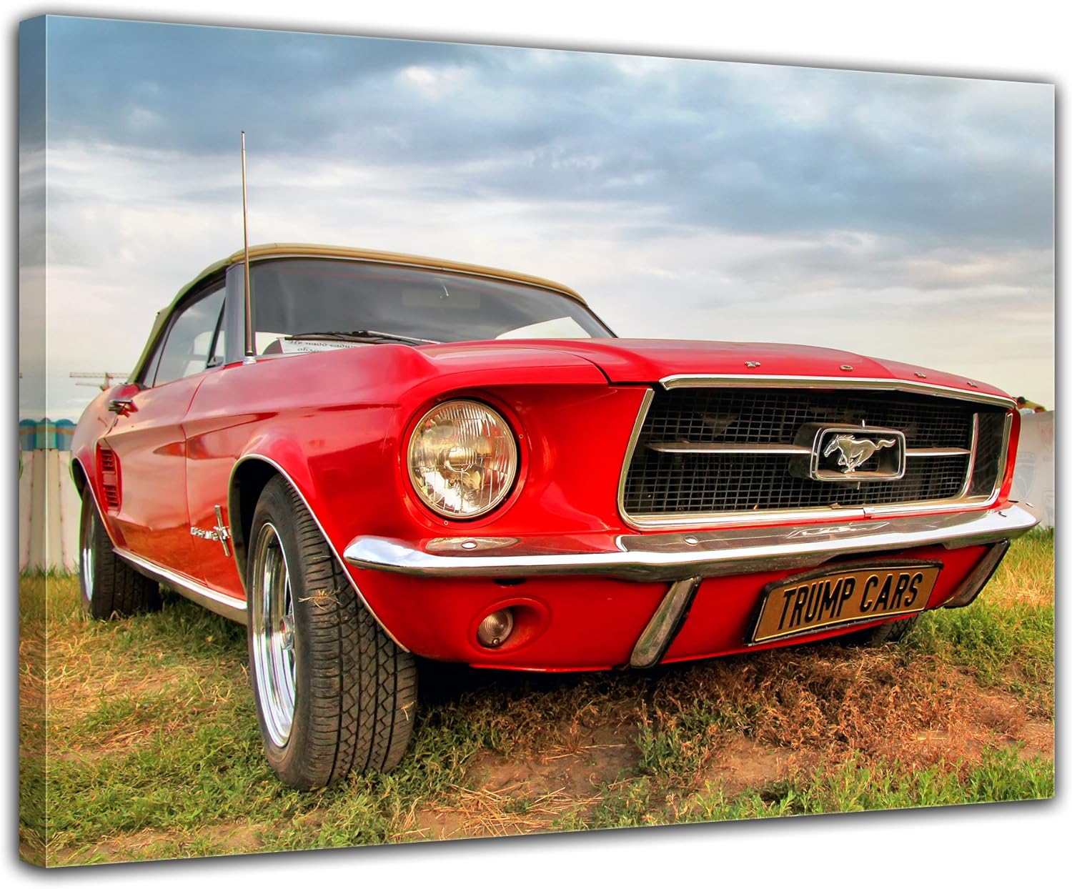 Amazon.de: Wandbild - Mustang - Bild auf Leinwand - 40x30 cm