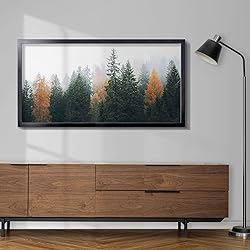 Annecy 20x40 Picture Frame Black（2 Pack）, 20 x