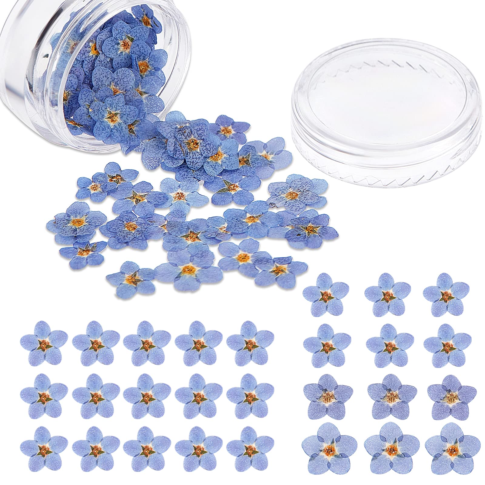 Nuanchu Natural Forget-me-not Dried Flowers Don't Forget Me Dried Real Pressed Flowers for Jewelry Candle Card Making DIY Resin Ornaments Nail Art Decorations(50 Pieces)