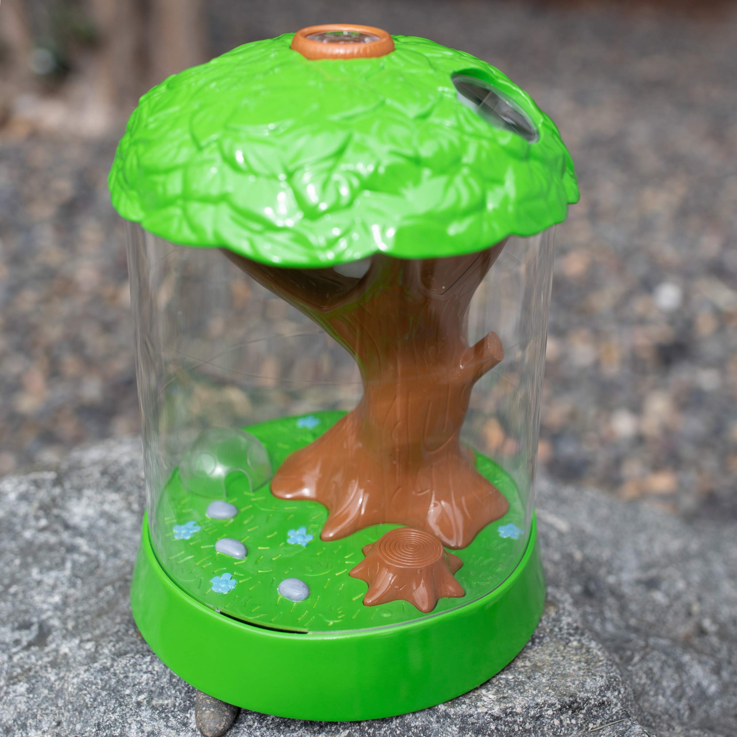 Educational Insights GeoSafari Jr. Ladybug Garden - Ladybug House, Kids Science Kit with Live Ladybugs, Terrarium Kit for Kids, at Home STEM Bug Habitat for Boys & Girls Ages 3+