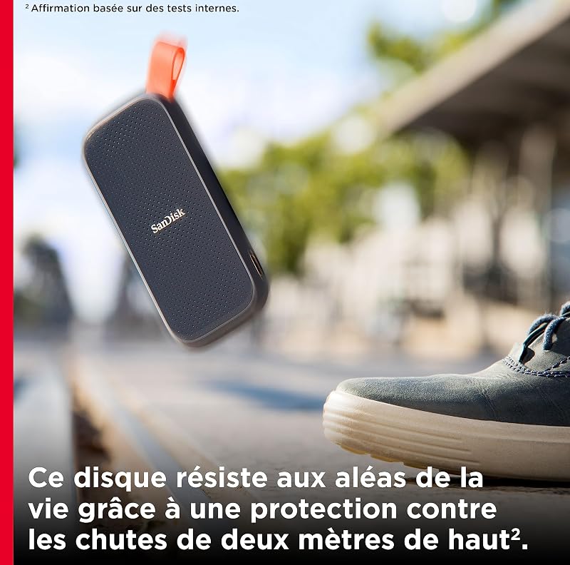 Portable SSD 1 To (Disque SSD Externe, Portable SSD, des vitesses allant jusqu'à 800 Mo/s, Disque NVMe SSD, Robust SSD, Crochet en caoutchouc robuste, Updated Firmware) Gris