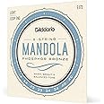 D'Addario EJ72 Phosphor Bronze Mandola Strings, Light, 14-49