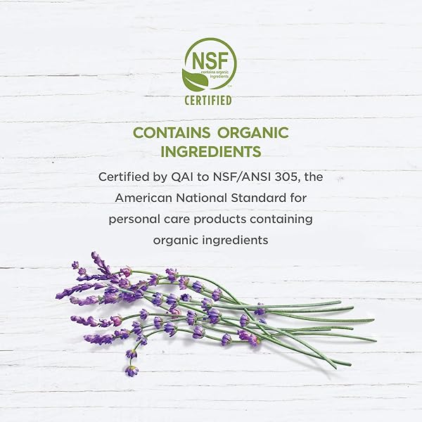 AVALON ORGANICS SHAMPOO ROSEMARY, 11 OZ