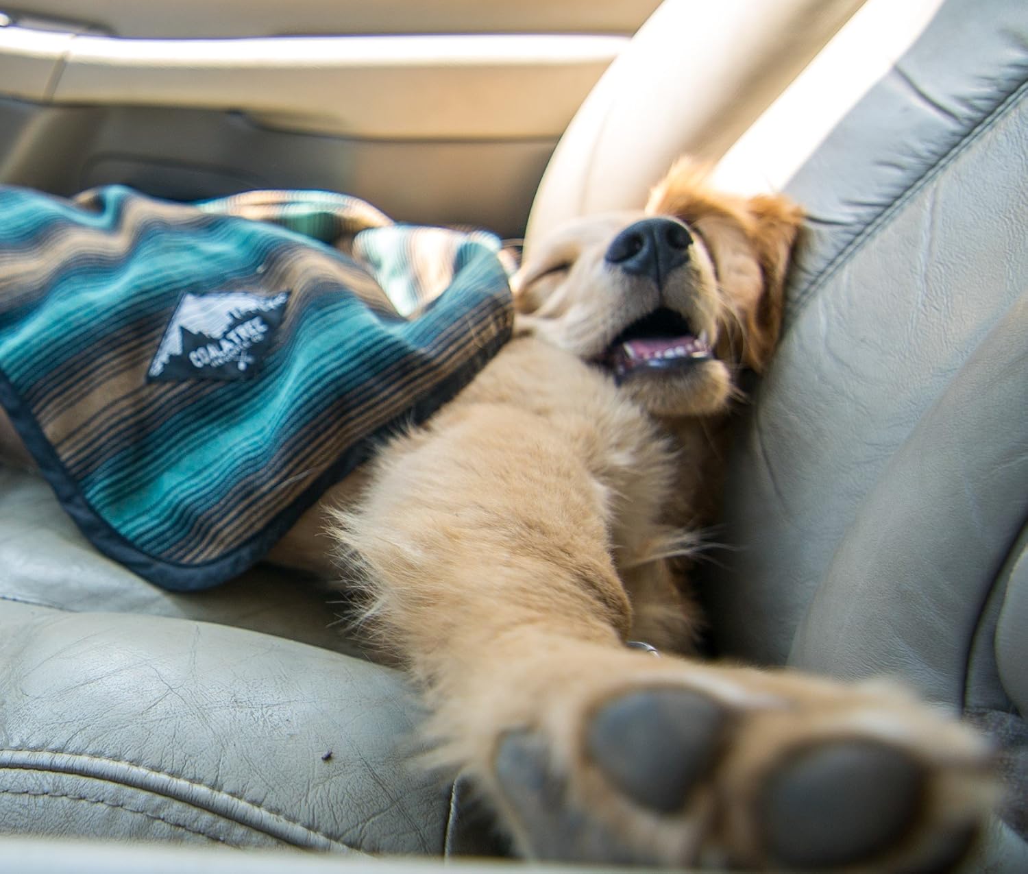 Beach For Travel And Emergency Rain Poncho Coalatree Compact Outdoor Adventure Blanket Pillow And Hiking Kachula