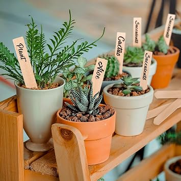 Wohlstand 50 Pcs Semilla De Plantas Etiquetas, de Semillas Stakes ...