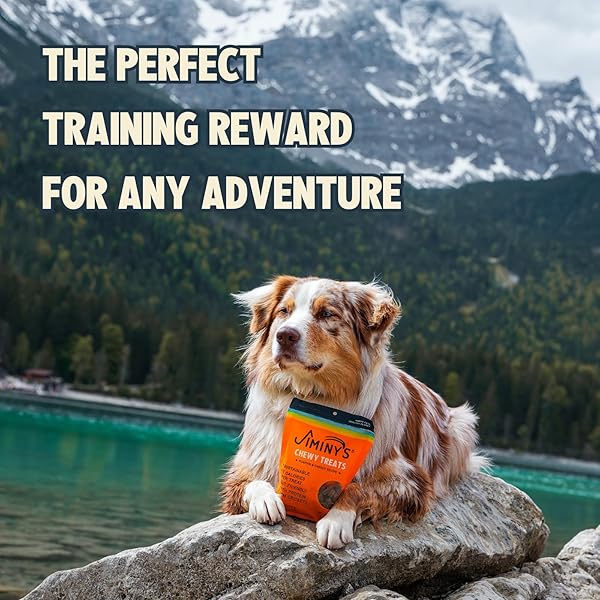 JIMINY’S CHEWY CRICKET TRAINING TREATS FOR DOGS, LOW CALORIE, HYPOALLERGENIC, MADE IN USA, 6OZ, PUMPKIN & CARROT (PACK OF 1)