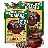HOME GROWN Cherokee Purple Tomato Seeds, 212+ Seeds, Solanum lycopersicum | High Germination, Heirloom, Non-GMO | 212+ Seeds (106+ Each, 2 Pack) | Rich Smoky Flavor | Indeterminate Beefsteak Tomato