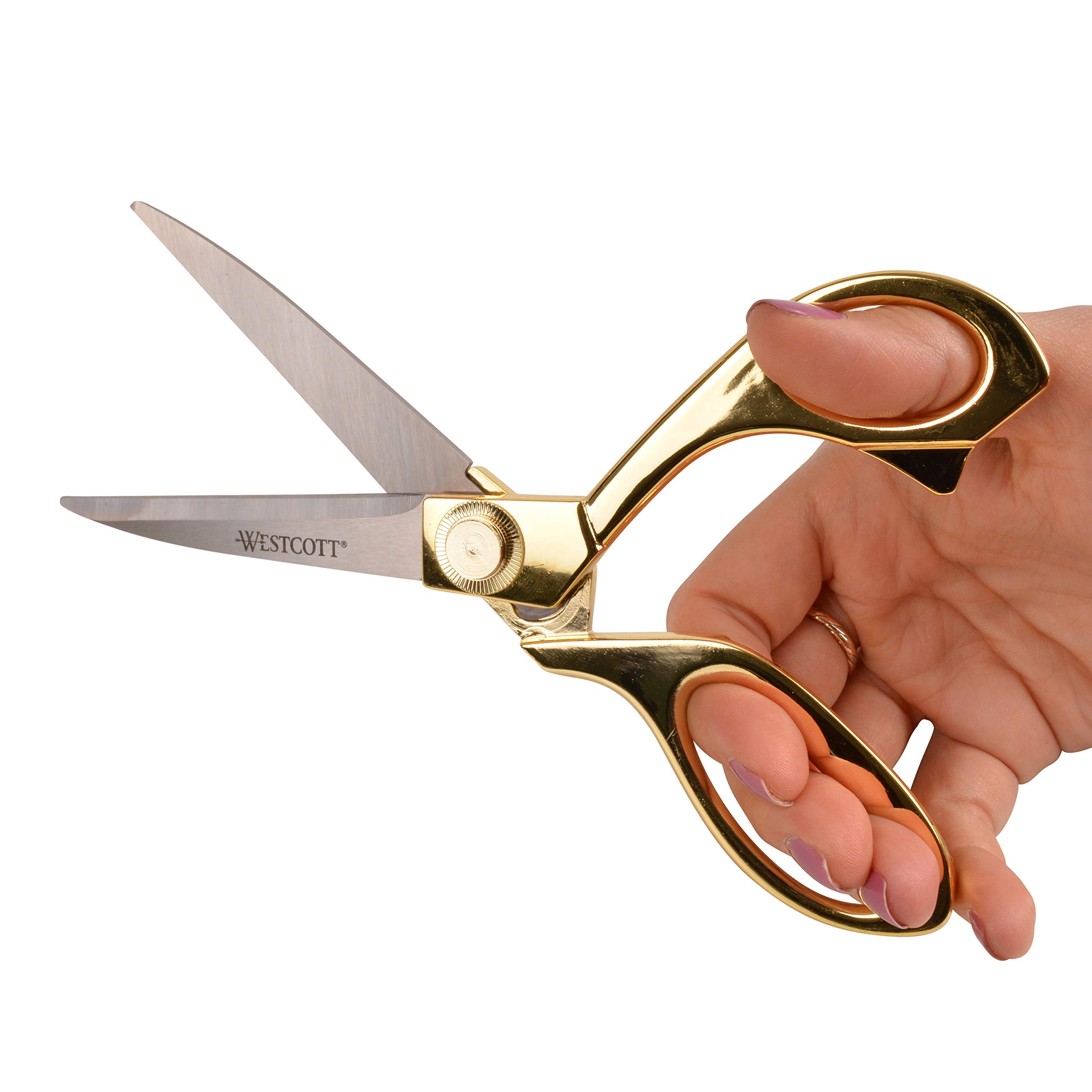 View 4