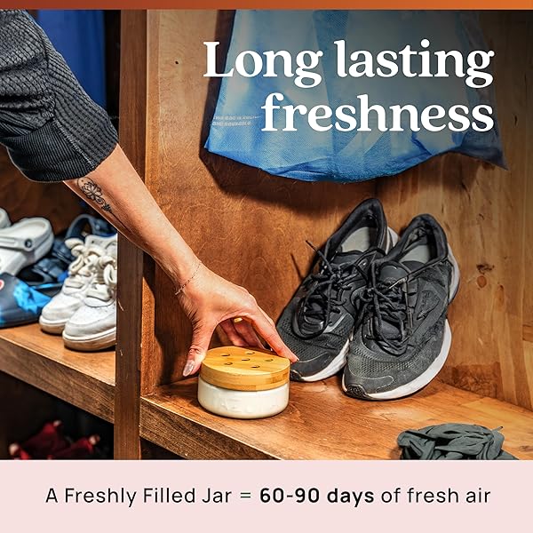 AZUNA AIR FRESHENER AND ODOR ELIMINATOR FOR STRONG ODOR GEL 24OZ REFILL POUCH | PLANT-BASED & LONG LASTING | PET, SMOKE, HOME AND BATHROOM | SANDALWOOD | LASTS 60–90 DAYS