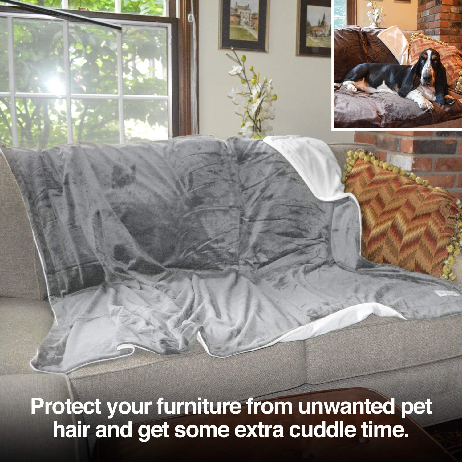 PetFusion Premium Pet Blanket, Multiple Sizes for Dogs & Cats. [Reversible Micro Plush]. 100% Soft Polyester, Gray, Medium (44 x 34) (PF-PB2A) : Pet Supplies