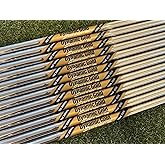NEW 2023 True Temper Dynamic Gold Tour Issue Spinner Wedge Shaft - .355 Tip