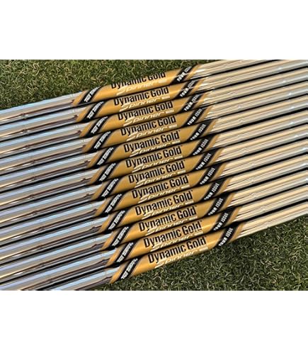 Amazon.com : TRUE TEMPER New Dynamic Gold Tour Issue Steel Iron