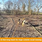 Vivifying Long Dog Lead 10M Reflective Floating with Soft Handle Orange view 8
