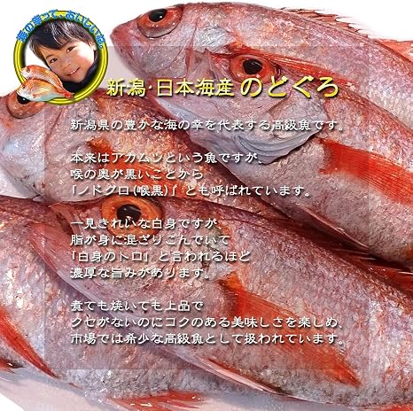 Amazon 魚水島 のどぐろ 新潟 日本海産 ノドグロ 400g以上 3尾 生冷凍 魚水島 鮮魚 通販