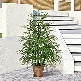 XmasExp 3ft Norfolk Pine Tree Artificial Faux Potted Real Touch Christmas Tree for Front Porch Indoor Outdoor Decor (Green)