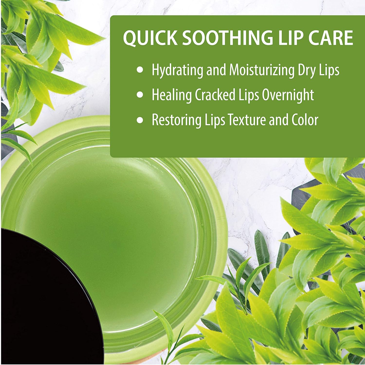 Hebepe Matcha Green Tea Lip Sleeping Mask Overnight with Applicator, Dry Lips Treatment with Coconut Oil, Vitamin E, Fig Extract, Orchid, and Shea Butter, Moisturizer for Dry, Chapped, Cracked Lips : Beauty
