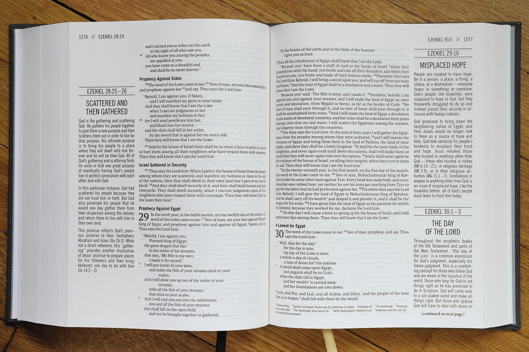 The Jesus Bible, ESV Edition, Cloth over Board, Gray