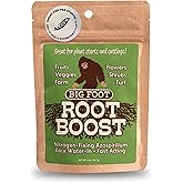 Big Foot Probiotic Root Boost Water Soluble Powder For Established Plants and Transplants - GROW ROOT SIZE, Increase Nitrogen, Grow New Plants from Cuttings, Pea Inoculant - 2 Ounces