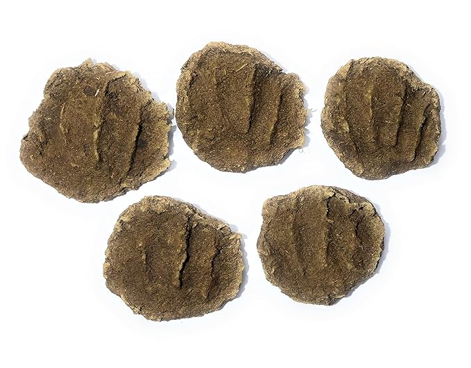 Buy Sanartkrafts, Cow Dunk Cake Pack of 10, 100% Organic Collected from Village Online at Low 