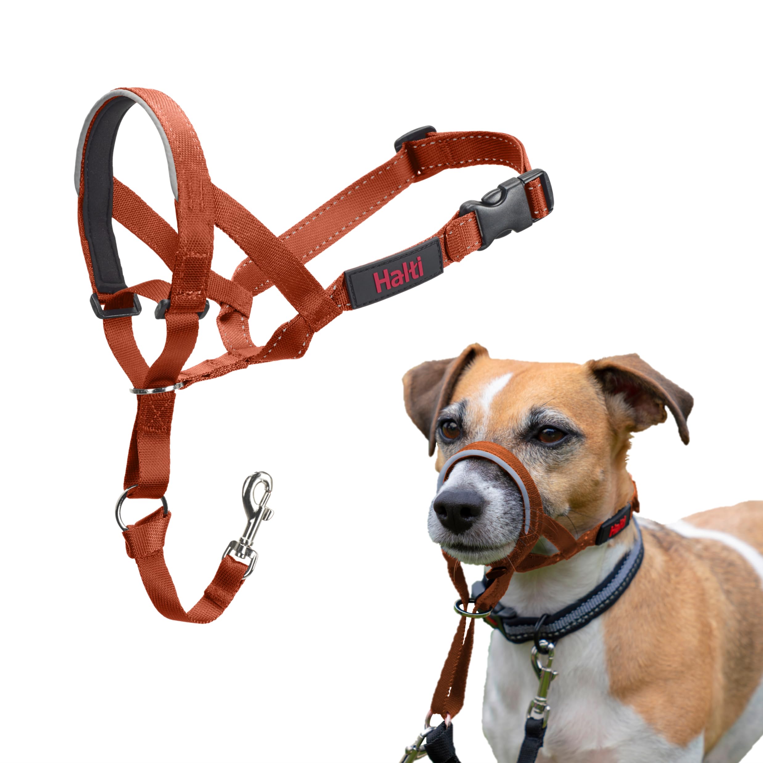 Halti Headcollar - Stop Your Dog Pulling on the Lead. Adjustable, Reflective and Lightweight, with Padded Nose Band. Dog Training Anti-Pull Collar for Small Dogs (Size 1, Burnt Orange)