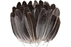 PINKFEATHER 300pcs Goose Feathers(4-6 inches),Feathers for Crafting,DIY,Hats Clothing,Cosplay Wings and Wedding Home Party Decorations,Dream Catcher Supplies (Natural Gray)