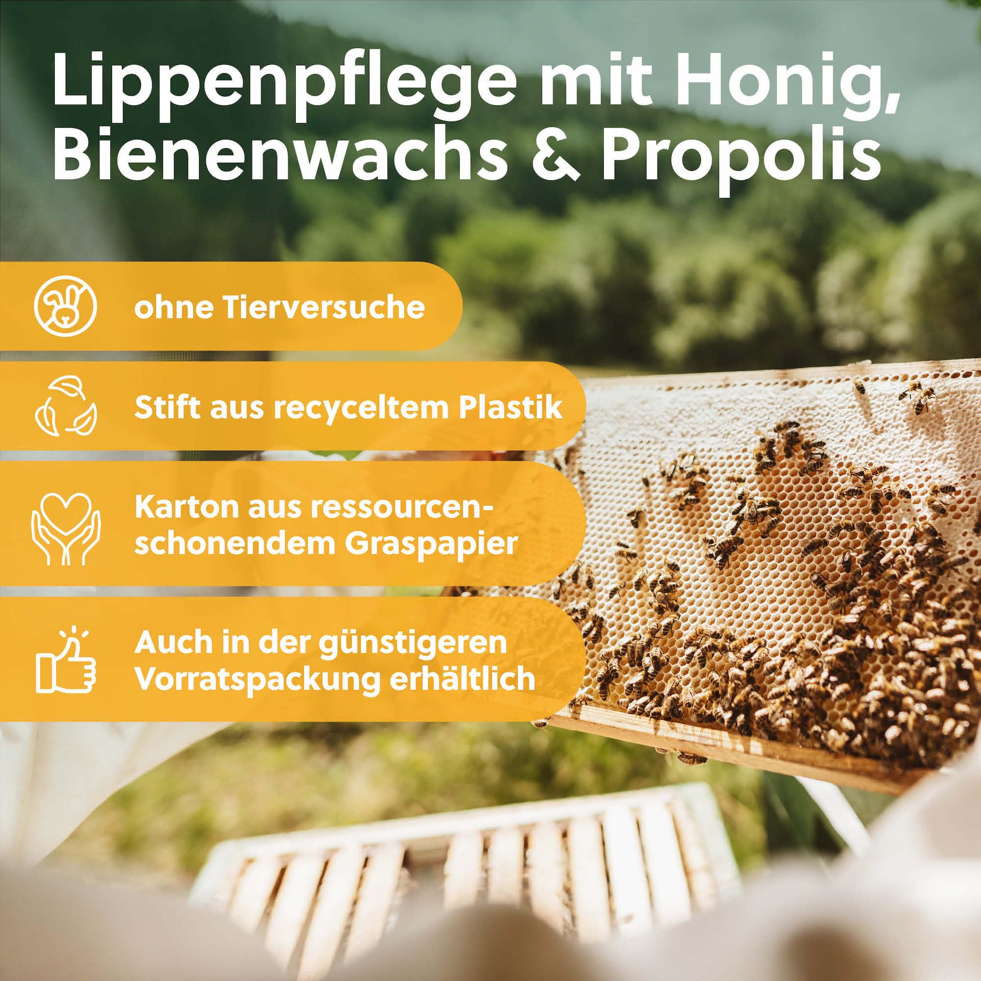 beegut Manuka Lippenpflege – Lippenbalsam mit Manuka Honig MGO 400+, Propolis & Bienenwachs – spendet Feuchtigkeit & schützt intensiv – natürliche Lippenpflege für sehr trockene Lippen 5