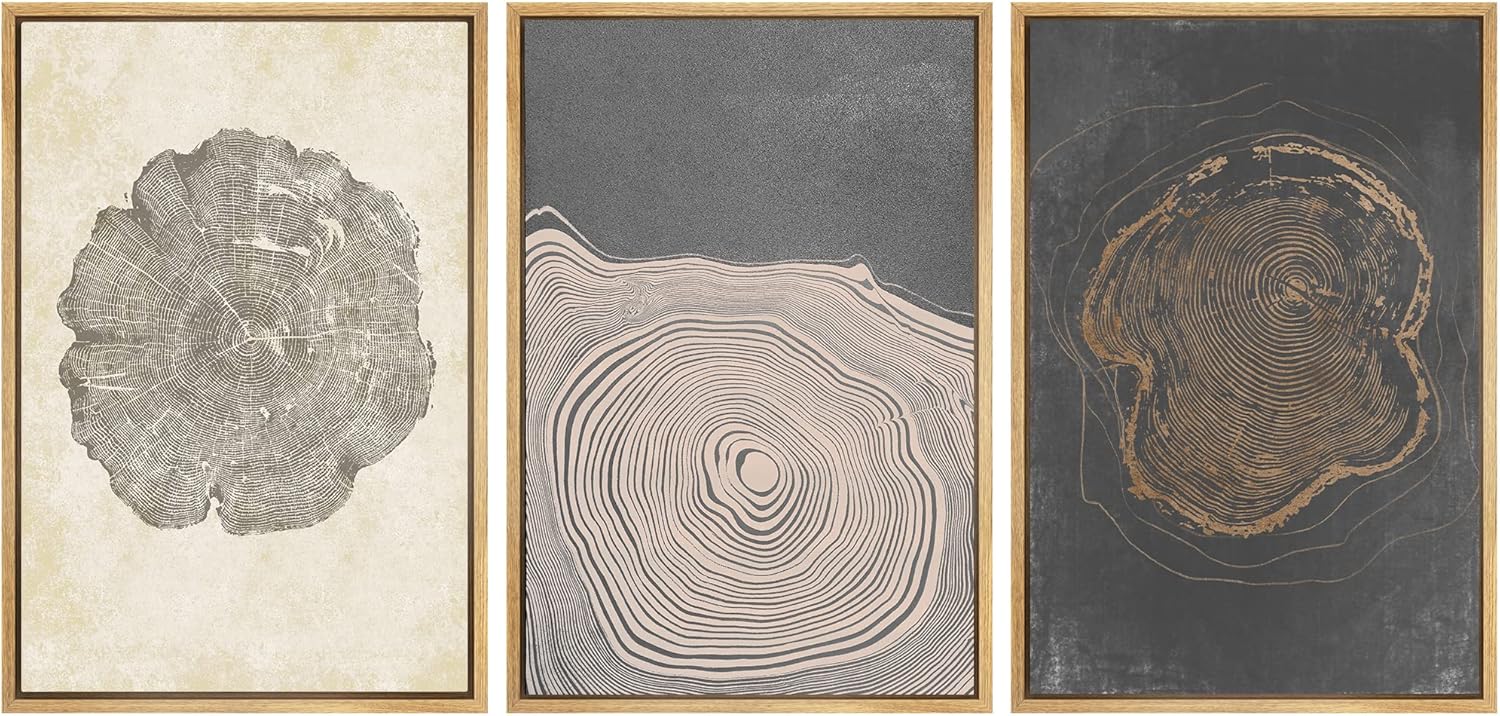 Wall Décor - SIGNWIN Framed Canvas Print Wall Art Set Pastel Gray Wood Tree Ring Spirals Nature Abstract Drawings Modern Art Decorative Contemporary Minimal for Living Room, Bedroom, Office - 24
