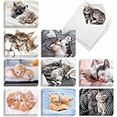 The Best Card Company - 20 Adorable Cat Greeting Cards (4 x 5.12 Inch) - Blank Assortment (10 Designs, 2 Each) - Cuddling Cats AM2815OCB-B2x10-NB