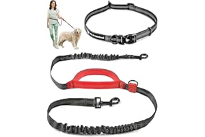 PET DREAMLAND Exquisite Hands-Free Leash for Large Dogs: Ultimate Comfort & Freedom for Running, Walking, Hiking. Premium Quality, Durable & Versatile Waist Dog Leash Belt. Your Dog Will Love It