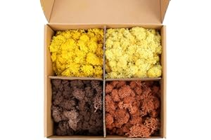 Amoueterno Preserved Moss 4 Color Reindeer Moss,Total 14OZ Each Color 3.5OZ, Natural Real Green Moss DIY Kit Moss Crafts Art Wall Decor Florist Decor Yellow/Light Yellow/Brown/Orange Brown