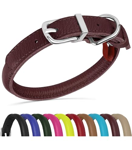 Amazon.com : Coastal Pet - Circle T - Latigo Leather Round Dog