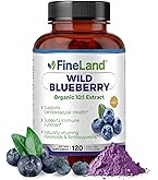 Amazon.com: Zazzee USDA Organic Blueberry 10:1 Extract, 120 Vegan