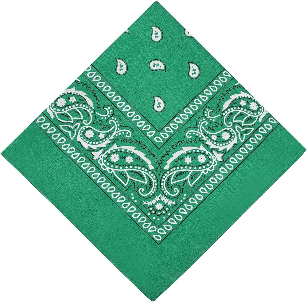 Aomig Bandana Head Scarf Men Women Paisley Print Multi Purpose Headwear Dark