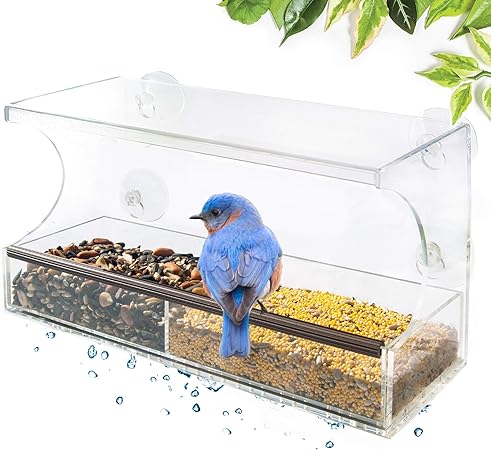 Amazon Com Go Simply Amazing Window Bird Feeder With Strong