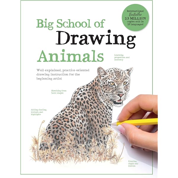 Big School of Drawing: Well-explained, practice-oriented drawing
