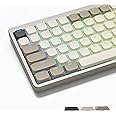 Womier Low Profile Keycaps - Shine Through Keycaps 60 65 75 100 Percent PBT Key Cap Ste, Full Size for Cherry Gateron MX Switches Mechanical Keyboard - Khaki Grey