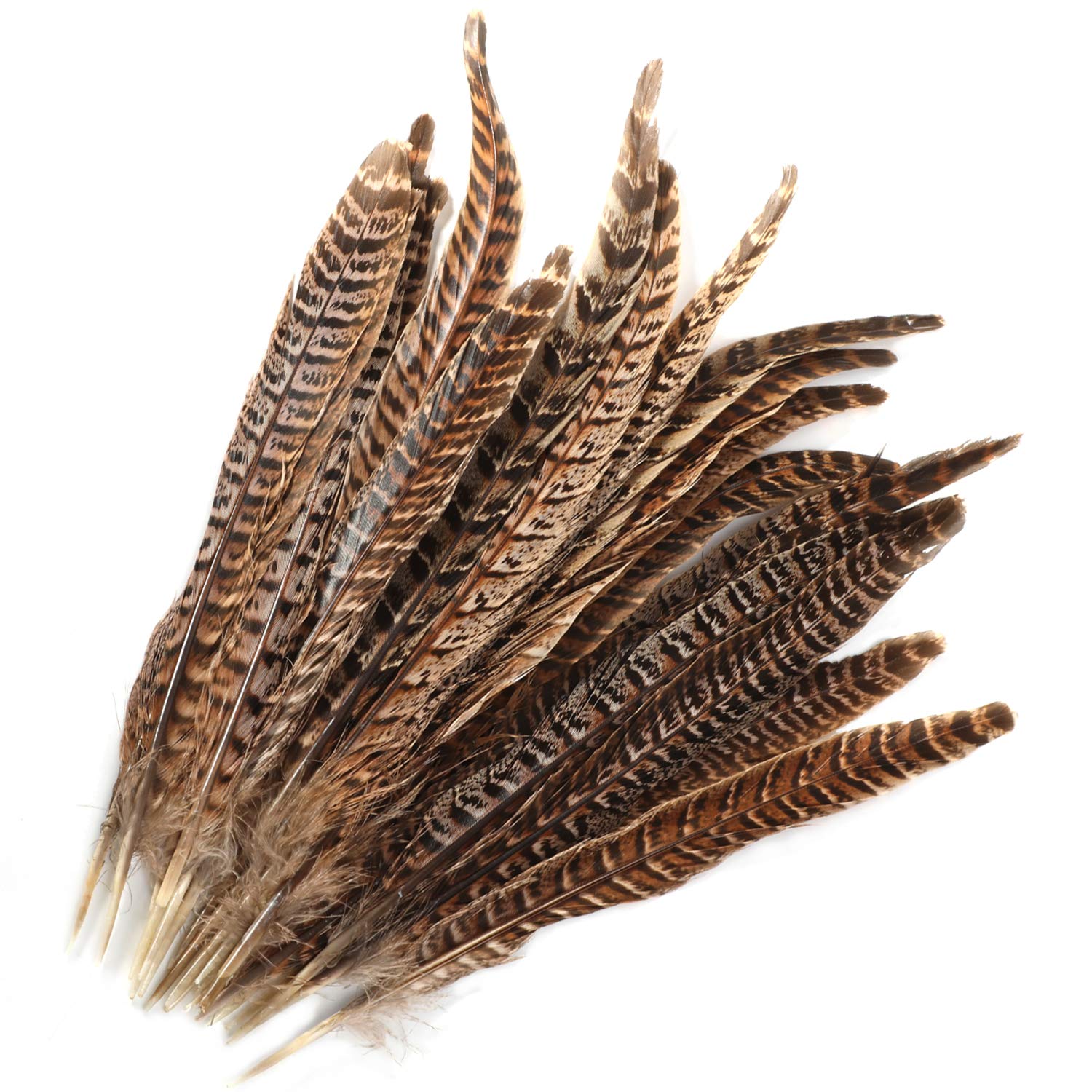 MWOOT 20pcs Natural Pheasant Tails Feather for Hair Hats Crafts Home Wedding Party Decoration (25-30cm)