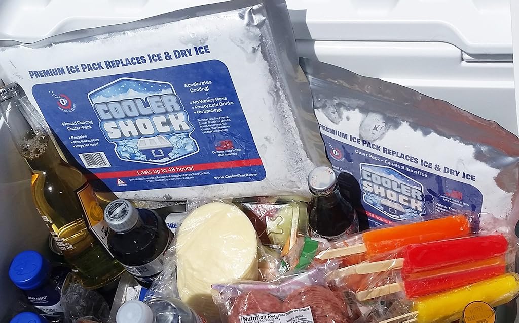 The Best Reusable Ice Packs for Coolers Reviews - Megan ...