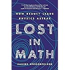 Lost in Math: How Beauty Leads Physics Astray