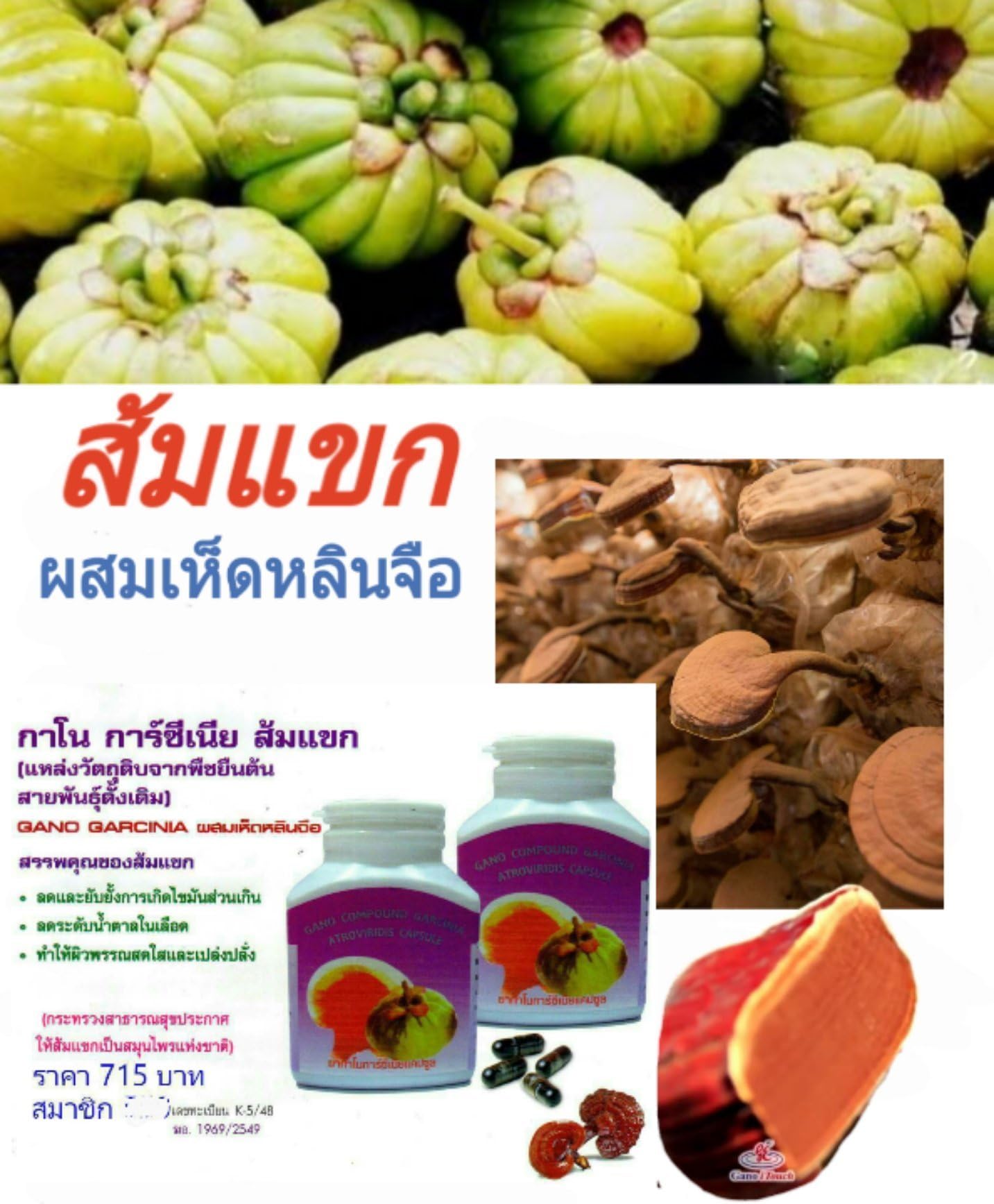 Gano Garcinia Capsules with Ganoderma Lucidum. 1 Pack of 2 Pieces