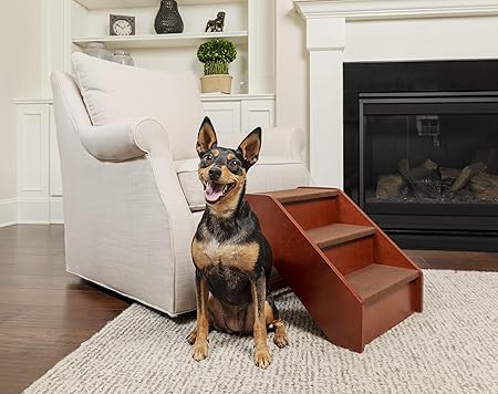 best dog stairs for small dogs