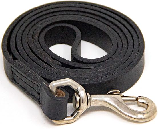 logical leather dog leash
