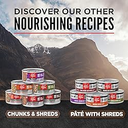 ORIJEN Premium Pate Wet Cat Food in Bone Broth