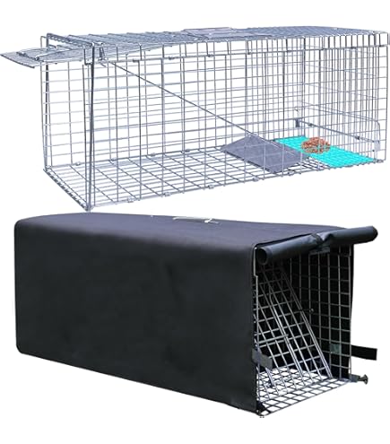 Trap Cat Recovery Cage Fast Trapping Outdoor Cage Automatic